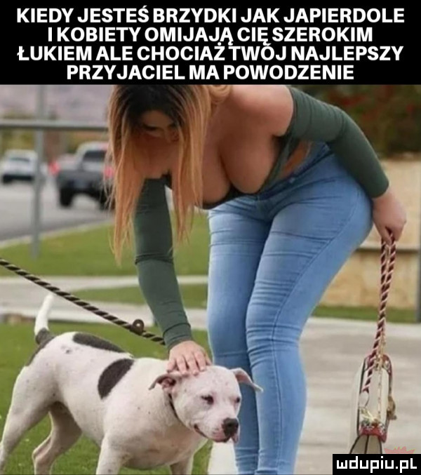kiedy jesteś brzydki jak japierdole i kobiety omijają ci szerokim łukiem ale chociaz tw j najlepszy przyjaciel ma powodzenie