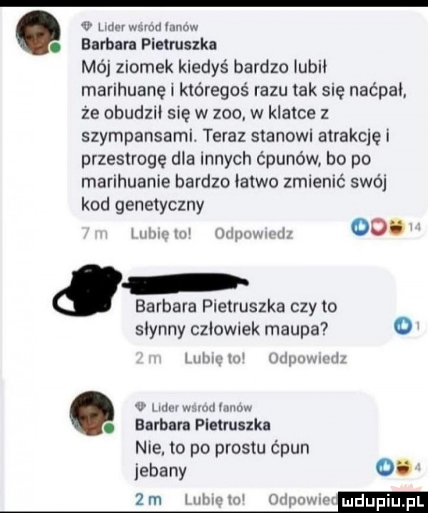 r adm. barbara pietruszka mój ziomek kiedyś bardzo iubii marihuanę i któregoś razu tak się naćpai. że obudził się w    . w klatce z szympansami. teraz stanowi atrakcje i przestrogę dla innych ćpunów bo po marihuanie bardzo łatwo zmienić swój kod genetyczny im w xipuwuwiz      barbara pietruszka czy to słynny cziownek małpa o lisim w unlimwn rh w lim mm. mm. barbara pietruszka nie to po prestu c pun jebany o. w va  m uh