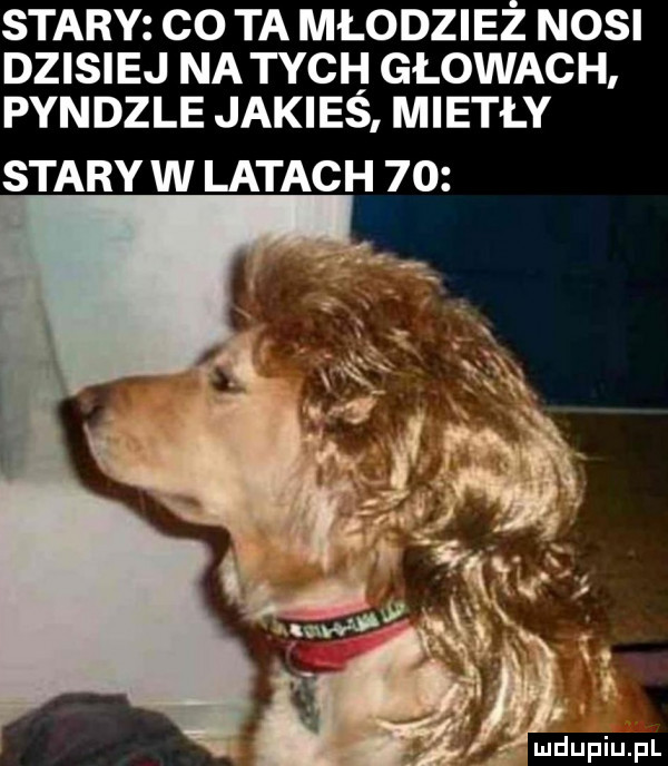 stary co ta młodzież nosi dzikiej na tych głowach pyndzle jakies miotły stary w latach    s
