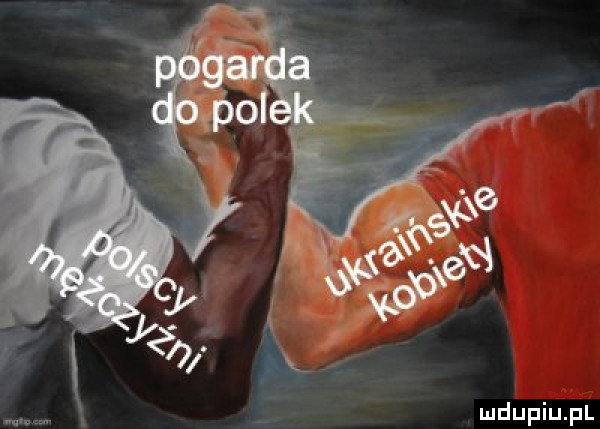 Obrazek