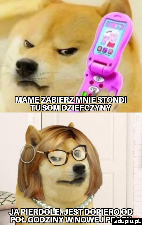 ją pierdolem dopiero oo pał godziny wm mama. fl