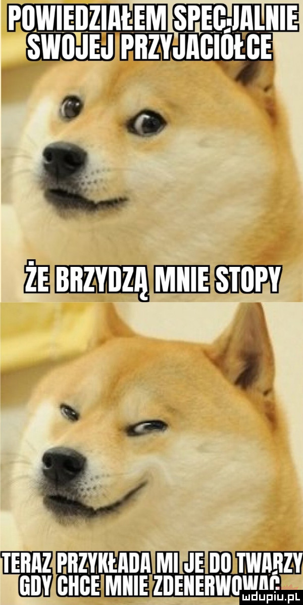 piiwieijziailem spąg ialiiie o s mew