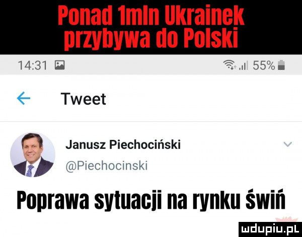 ponad imin llkrainek przybywa do polskl       e       tweet o janusz piechociński a piechocinskn poprawa svtuacii na rynku świń