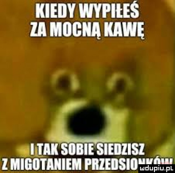 kieiiy wypiłeś ll ibm kiwi lﬂllilll ﬂlll premii pu p