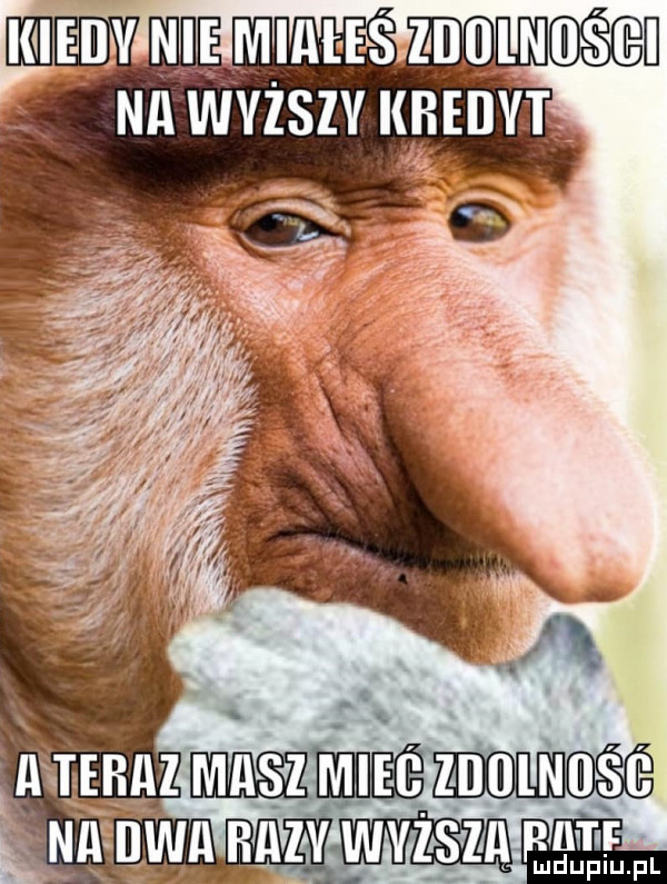 nm j mn nba aazamvzszaraf a ludupiu. pl