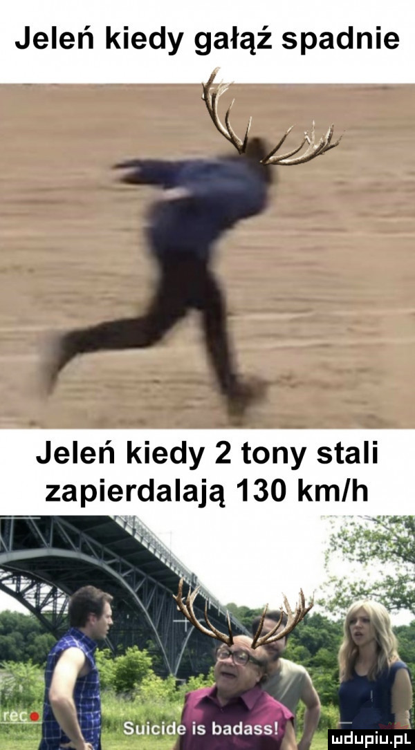 jeleń kiedy gałąź spadnie jeleń kiedy   tony stali zapierdalają     kmlh n rac suicide is badass. mduplu pl
