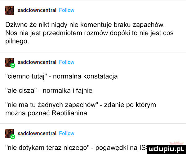 sadclowncentral fellow thwne ze nikt nigdy nie komentuje braku zapachów nos me jest przedmiotem rozmów dopókl to niejest coś pilnego ę sadclowncemral fellow ciemno tutaj normalna konstatacja ale cisza normalka i fajnie nie ma tu żadnych zapachów zdanie po którym mozna poznać reptlllanlna ę sadciowncennal fellow nie dotykam teraz niczego pogawędki na is