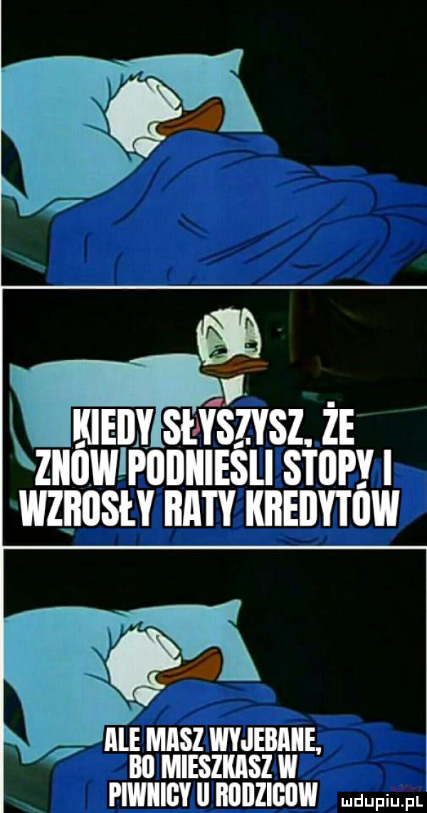 kieiiy słyszysz. ze znowpoijiiiesli stop wzbusły raty kbeijytiiw x ale masz wyjebanie bai mieszkasz w piwiiigy ll iiuiizigijw