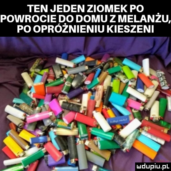 ten jeden ziomek po powrocieqo domu z melanzu po oproznieniu kieszeni vs i ﬁ ziaj