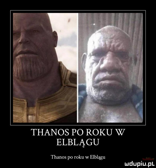 thanos po roku w elblągu thanns po roku w elblągu