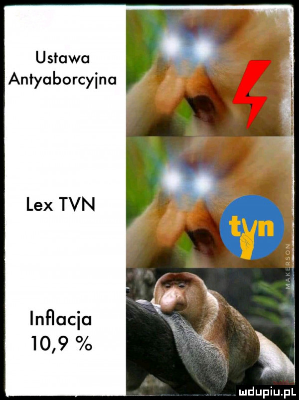ustawa antyaborcyjna lex tvn inﬂacia