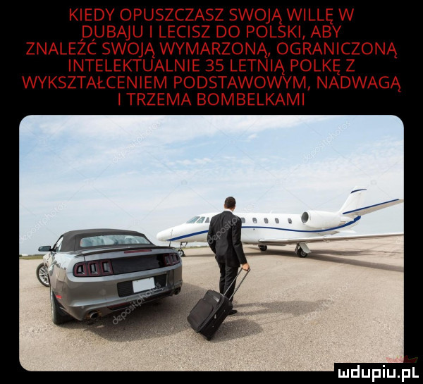 kiedy opuszczasz swoją willę w dubaju i lecisz do polski aby znalezc swoją wymarzoną ograniczoną intelektualnie    letnią polkę z wykształceniem podstawowym nadwagą i trzema bombelkami