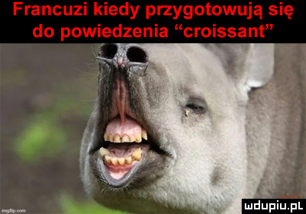 i i