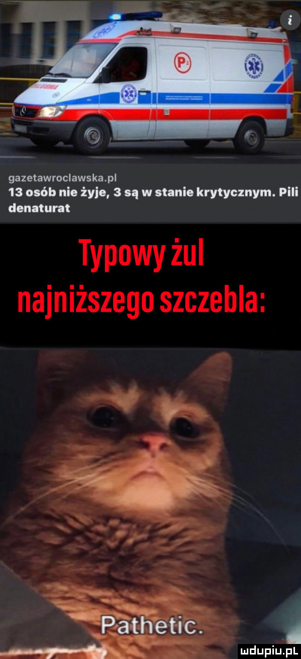 gazetawroclawskaml    osób nie żyle   sq w stanie krytycznym. plii unnatural i i c. me