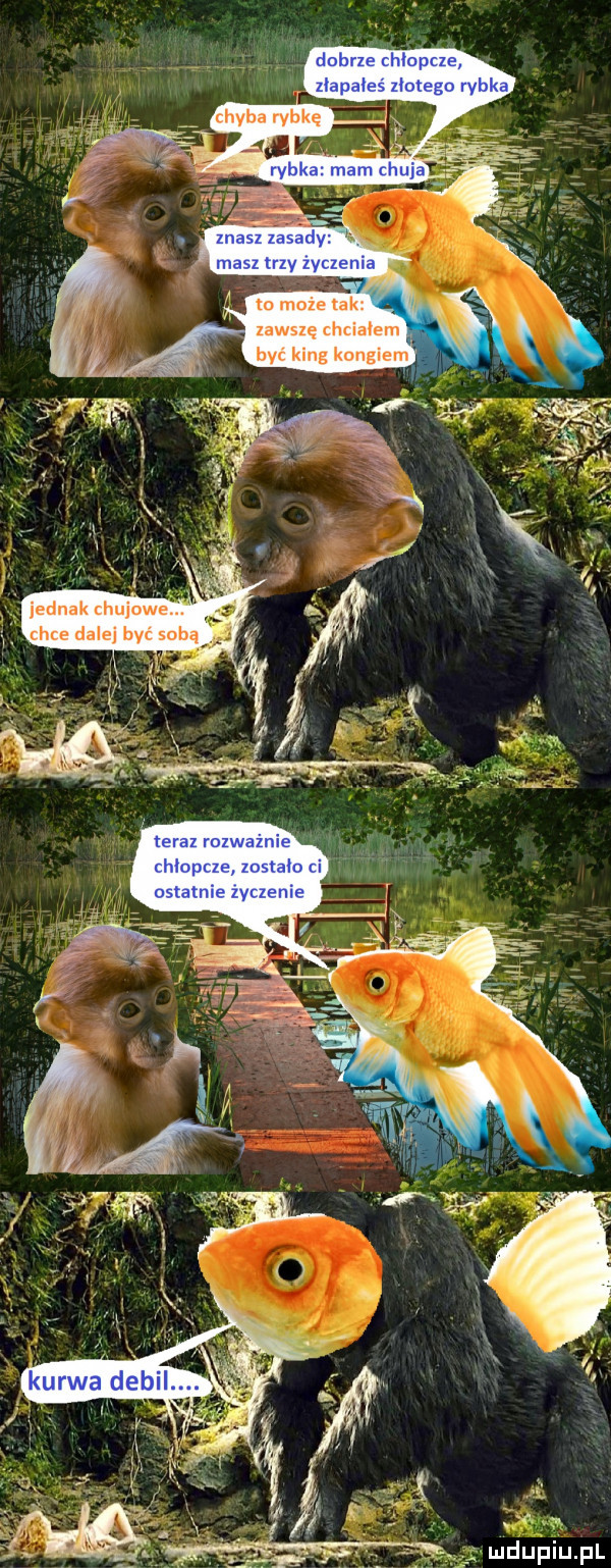 jednak hujow. chce dalej być sobą m może tak. abakankami. zawszę chia em   być king kongiem
