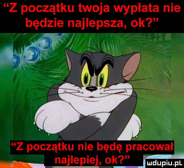 z początku twoja wypłata nie będzie najlepsza ok mx m i z początku nie będę pracował najlepiej  k i