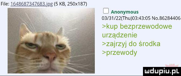 file              . pg   kb    x    d anonymous          tau          n          kup bezprzewodowe urządzenie zajrzyj do środka przewody