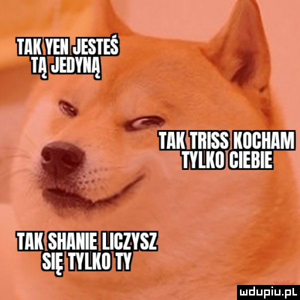 Obrazek