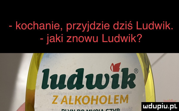 ludia lf zalkoholem