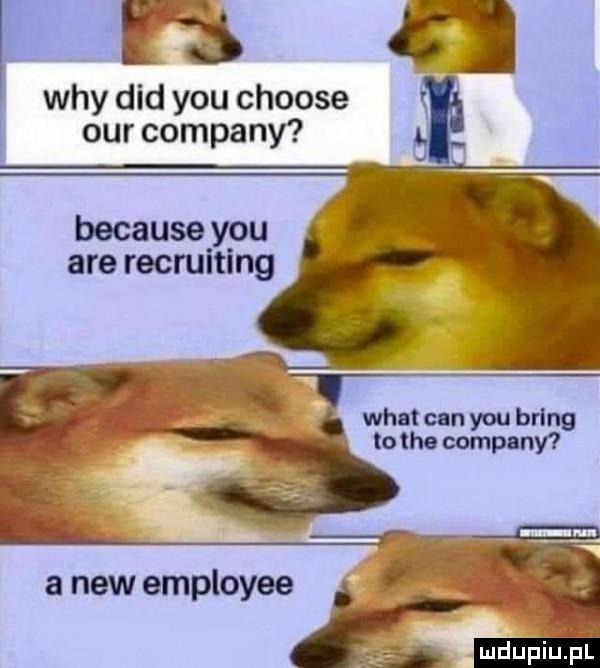 wdy ddd y-u choose ocr company because y-u are recruiting wiat cnn bal to tee mg uwm a naw employee