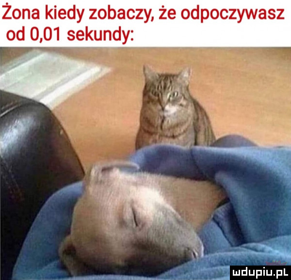 żona kiedy zobaczy że odpoczywasz od      sekundy. a   f