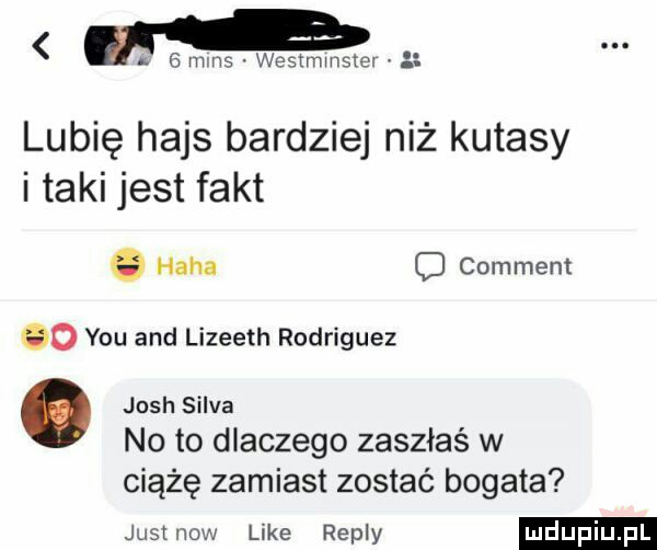 i n   mms westmmster lubię hajs bardziej niż kutasy i taki jest fakt. haba c comment co y-u and lizeeth rodriguez. josh silva no to dlaczego zaszłaś w ciążę zamiast zostać bogata justnow like repry