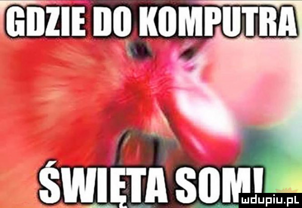 wi m sumw