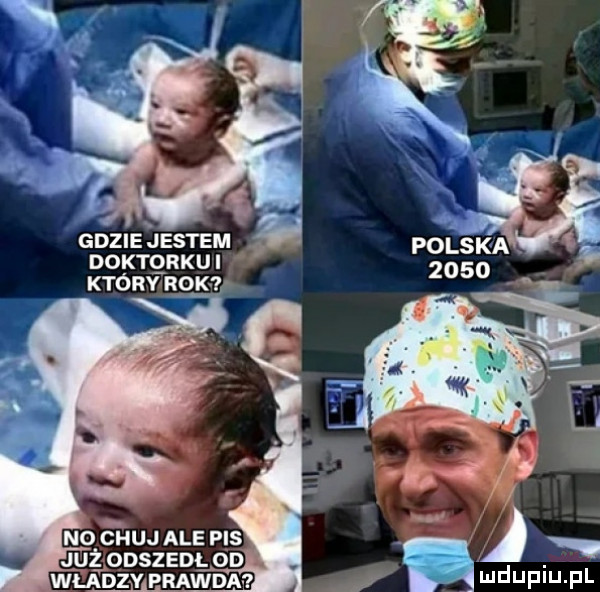 gdzieiiestem. doktorku i który rex