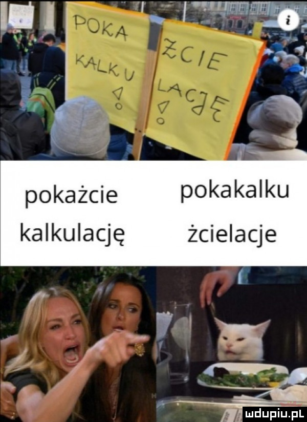 pokażcie pokakalku kalkulację żcielacje