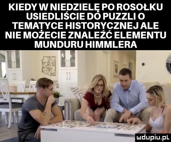 kiedy w niedzielę po rosołku usiedliscie do puzzli o tematyce historycznej ale nie mozecie znalezc elementu munduru himmlera