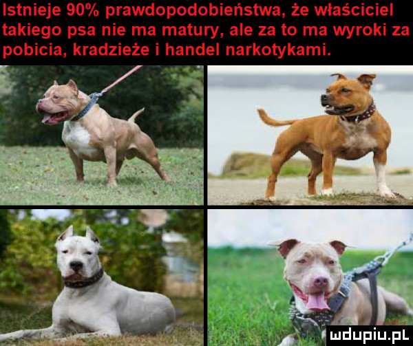 umduplupl