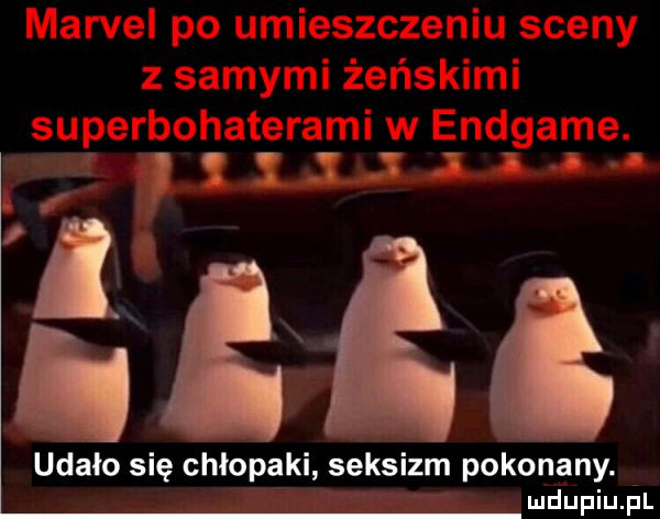 ud abo się chłopaki seksizm pokonany. mdupiu. pl