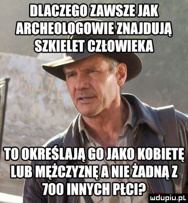 aaesaaja adm mmm quin mmmm uliizanna z x    mm naw i w nr wdupiu pl