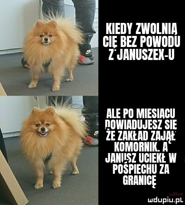 kiedy zwnuun gie bez powunu zunnuszex u nummesmcu nuwmnuaisz sie zeznmnznaqt immomuu x jaiiiesziigiekłw l puspiegiiii zn   unum