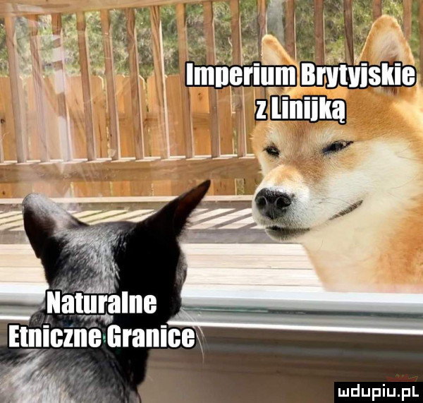 emiczlié uranium