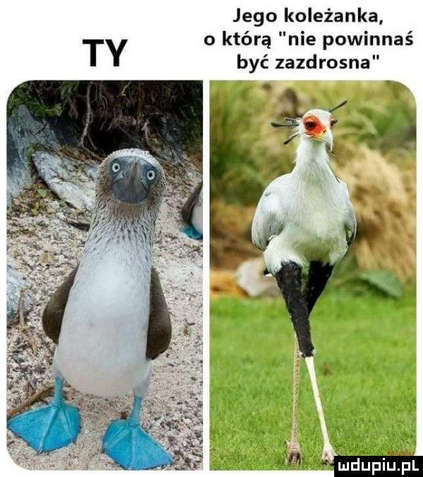jego koleżanka o którą nie powinnaś ty być zazdrosna