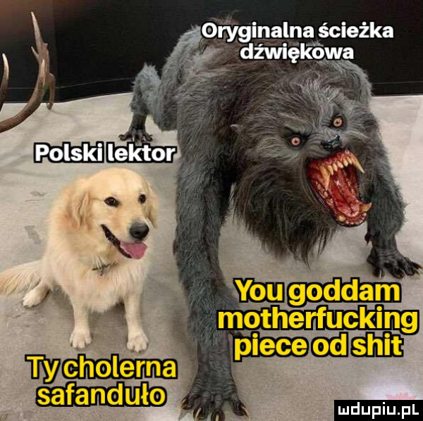 nagna ścieżka