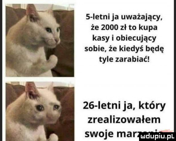 s istni ja uważający że      zł to kupa kasy i obiecujący sobie że kiedyś będę tyle zarabiać    ietnija który zrealizowałem swoje mar