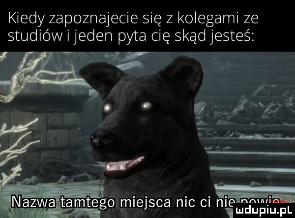 w tatko miejsca nic ci ni elmralﬁgi ﬁam. kiedy zapoznajecie się z kolegami ze studiów ijeden pyta cię skąd jesteś f. o g ujk