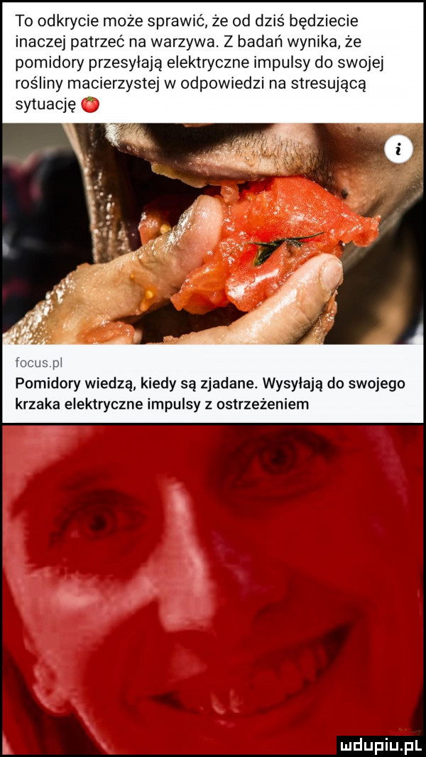 to odkrycie może sprawić że od dziś będziecie inaczej patrzeć na warzywa. z badań wynika że pomidory przesyłają elektryczne impulsy do swojej rośliny macierzystej w odpowiedzi na stresująca sytuację o  m pi pomidory wiedzą kiedy są zjadane. wypylają do swojego krzaka elektryczne impulsy z ostrzeżeniem