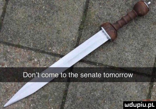 don t cole to tee senate tomorrow mdupiulpli