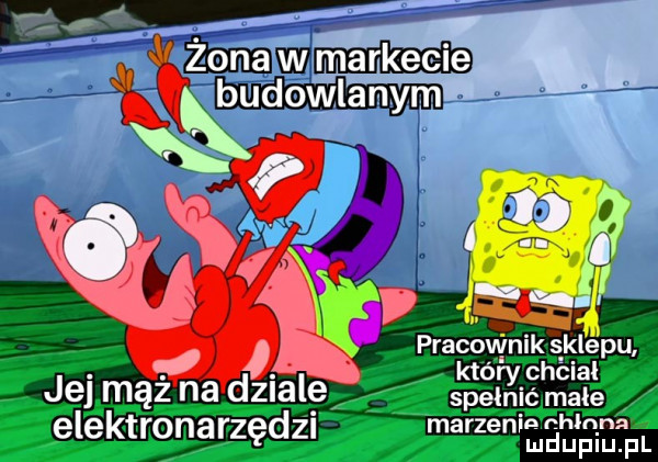 marzeniachlqna mduplu pl