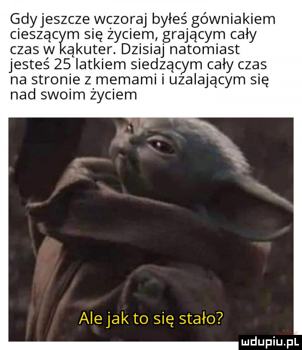 gdyjeszcze wczoraj byłeś górniakiem cieszącym się życiem grającym cały czas w akuter. dzisiaj natomiast jesteś    latkiem siedzącym cały czas na stronie z memami i upalającym się nad swoim zyciem