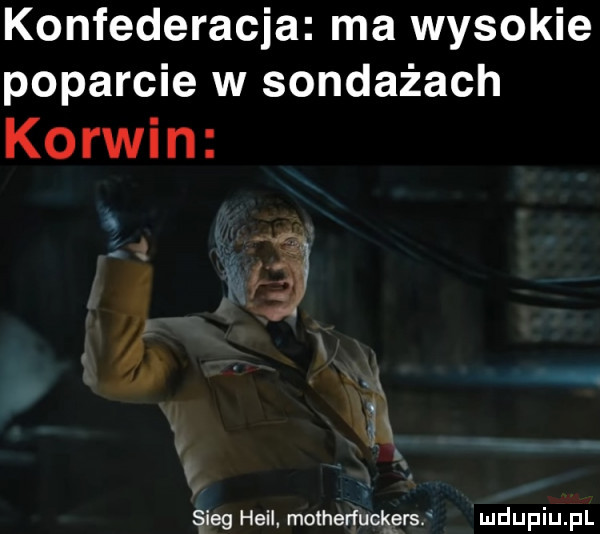 konfederacja ma wysokie poparcie w sondażach korwin sleg heil. motherfuckęrs