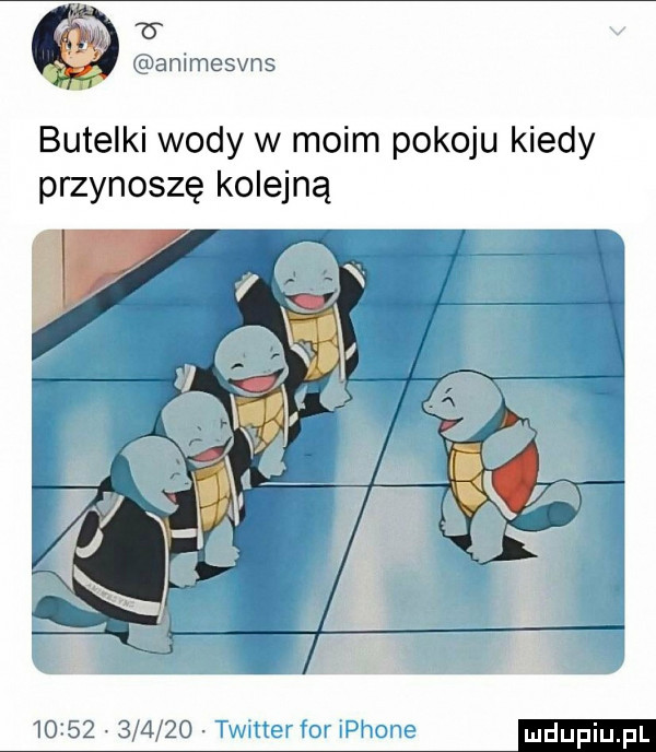 animesvns butelki wody w moim pokoju kiedy przynoszę kolejną              twitter for płone