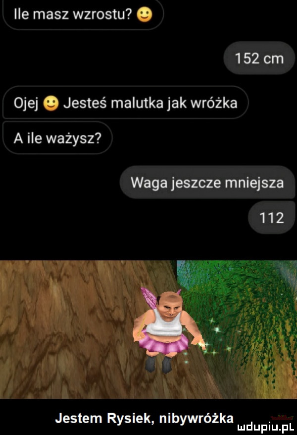 ile masz wzrostu     cm ojej jesteś malutka jak wróżka a ile wazysz waga jeszcze mniejsza     jestem rysiek nibywróżka mnpm pl