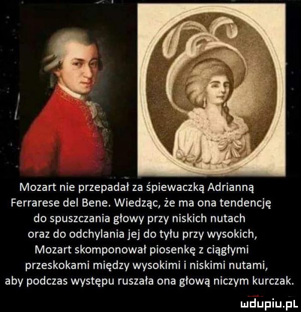 mozart nie przepadał za śpiewaczką adrianna ferrarese dal bebe. wiedząc że ma ona tendencję do spuszczanie głowy przy niskich nutach oraz do odchylania jej do tyłu przy wysokich mozart skomponował piosenkę z ciągłymi przeskokami między wysokimi i niskimi nutami aby podczas występu ruszała ona głową niczym kurczak