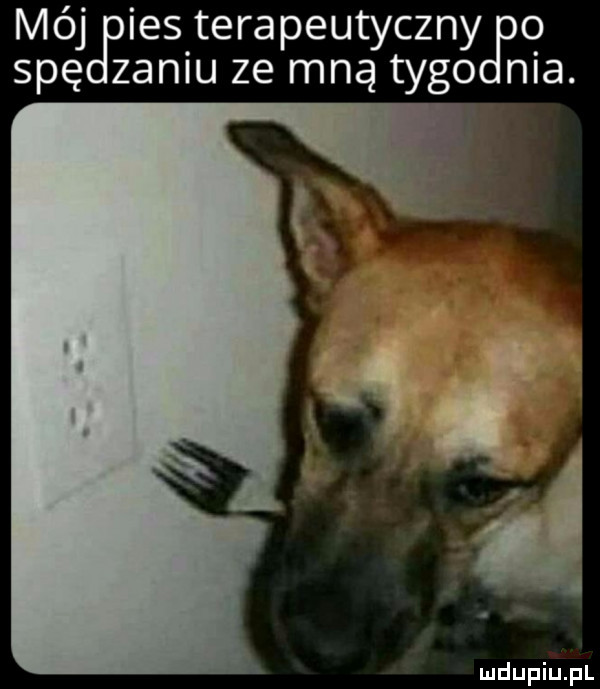 się zanlu ze mną tego mó iestera eu cen o jj. p ty yjtqia