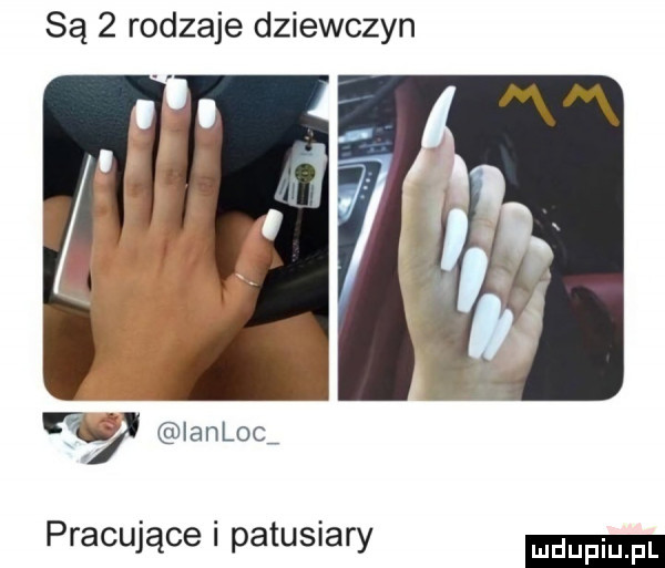 są   rodzaje dziewczyn   ianloc pracujące i patusiary