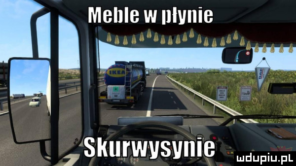 lw meillewulvnle j skurwvsvnię